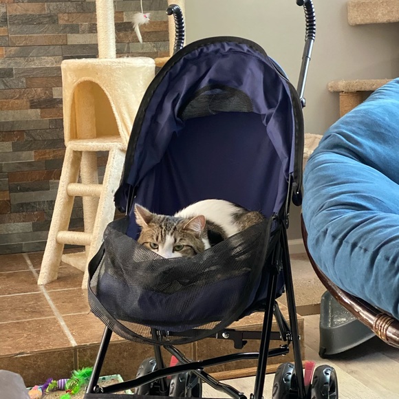 Meet your Posher, Laura - Picture 6 of 8